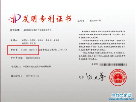 专利号是不是专利申请号-兰竹文化网