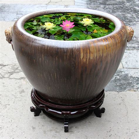 水缸图片