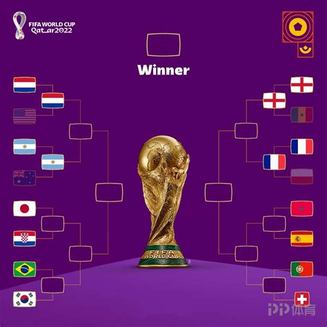 2022世界杯1/4决赛荷兰vs阿根廷本场负赢率（荷兰VS阿根廷胜负率）_搜视网