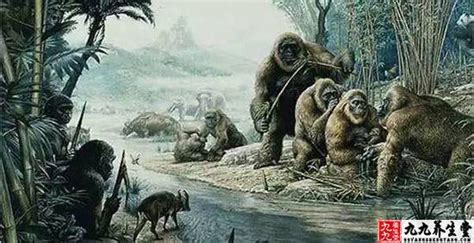 史前新物种被确认！生活在500万年前的猛兽，竟以犀牛为食|剑齿虎|猫|犀牛_新浪新闻