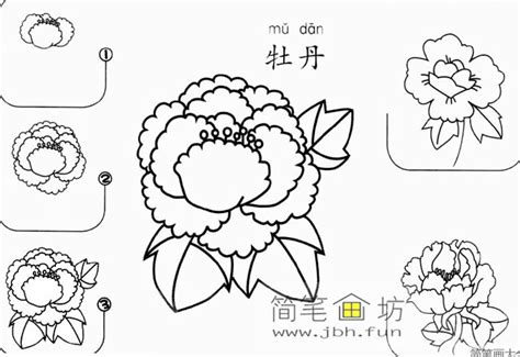 教你画12种简单又好看的花朵简笔画_花朵