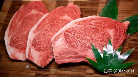 壹健康小知识：牛肉哪个部位烧烤最好吃？牛排是牛身上哪个部位_凤凰网