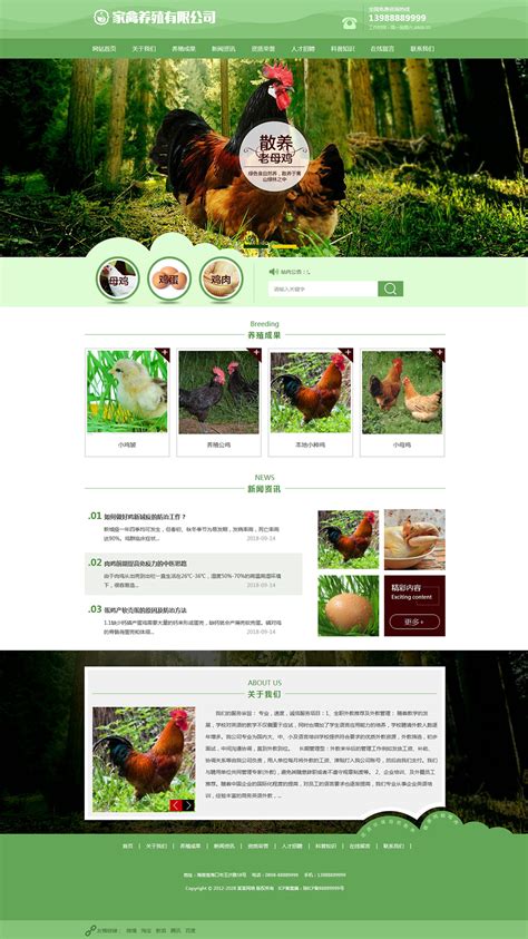 畜牧业网站设计图片素材_东道品牌创意设计