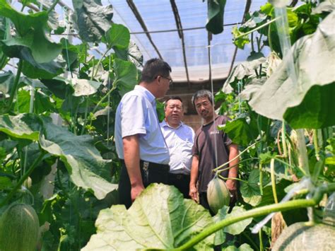 10万余农户种地“不操心” | 齐河探索实施市场化农业生产托管模式_德州24小时