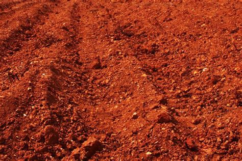 红壤土的优缺点,红土的特点和用途,所见(第13页)_大山谷图库