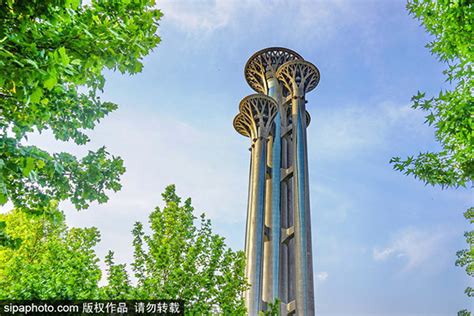 火炬树：大庆市让胡路区奋斗街道 - 自然游憩