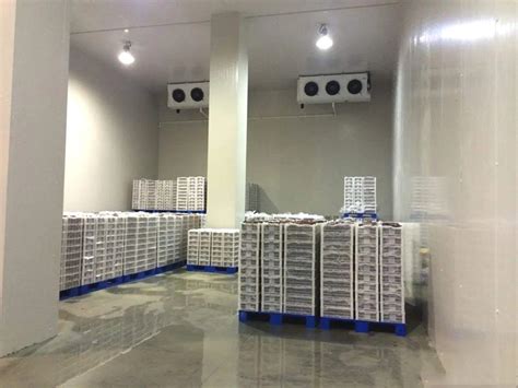 海鲜冷暖机（水冷）-温州冰顺制冷科技有限公司
