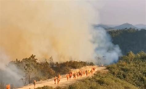 开屏新闻-昆明盘龙区发生山火，驻地森林消防队伍紧急救援