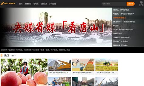 唐山市智慧河道监管平台|UI|其他UI |LLL_HUAN - 原创作品 - 站酷 (ZCOOL)