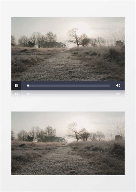 冬季枯木荒草的道路景色实拍视频模板下载_冬季_图客巴巴
