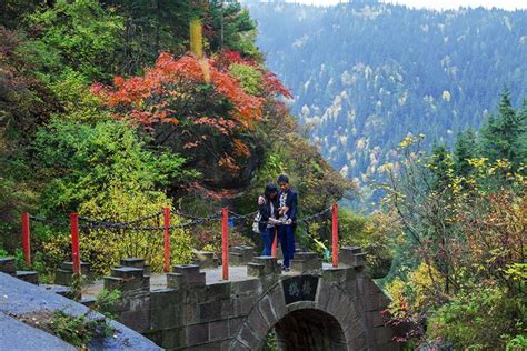 思贺镇，广东省的特殊之地，是风景优美黄榄甜涩、八角飘香的地方_罗定市_三市_美景