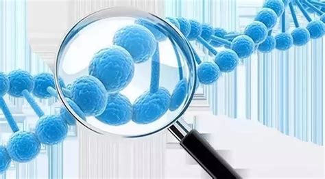 证实基因组测序成功鉴定癌症相关突变_基因组测序_癌症相关突变鉴定_医脉通