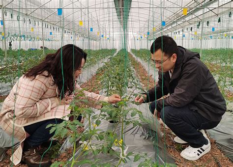 铜梁区气象局开展设施蔬菜种植服务需求调研