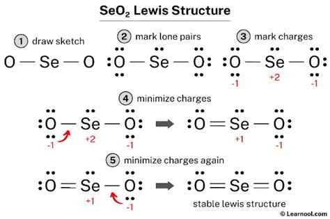 SeO2 Lewis structure - Learnool