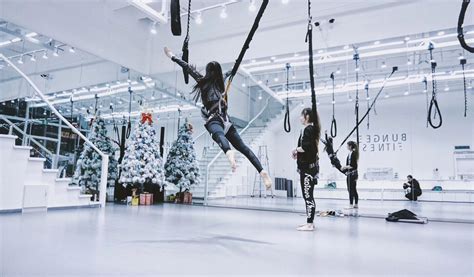 活力带 空中瑜伽 室内蹦极 魔力空中瑜伽吊绳弹力带弹力悬挂绳-阿里巴巴
