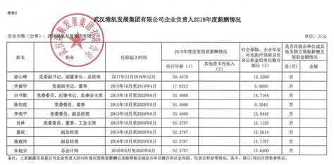 关于武汉港航发展集团有限公司2019年度企业负责人年薪及工资总额的公示-通知公告-湖北港口集团