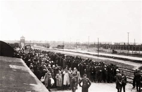 二战纳粹集中营老照片: 鬼知道他们经历了什么!|集中营|纳粹|犹太人_新浪新闻