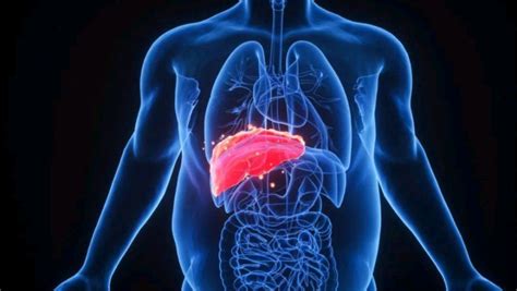 肝脏不好的18个症状，超过两条，你的肝就有问题！