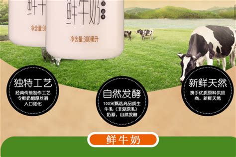 【西安订奶】高品纯鲜牛奶（210g）——多鲜放心订送货到家 - 订鲜奶网
