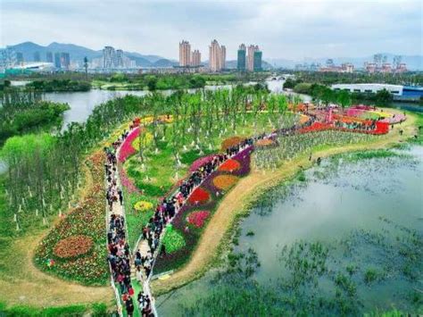 浙江温岭九龙湖生态湿地公园