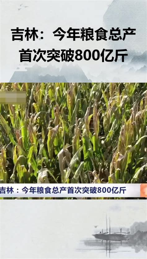 吉林：今年粮食总产首次突破800亿斤_凤凰网视频_凤凰网