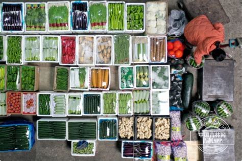 应季蔬菜大量上市 价格出现季节性回落 - 社会民生 - 陕西网