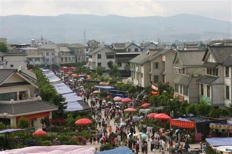 保山端阳花市：你看的 不只是风景|苔花|干花|花街_新浪新闻