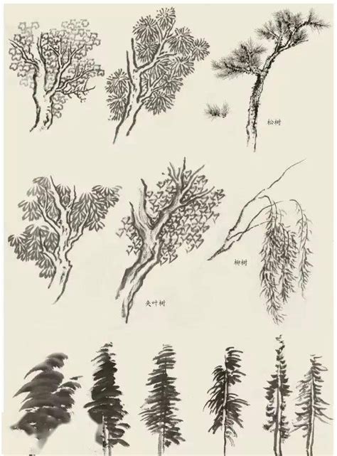 树木的树枝和树叶的简单绘制教程 PS好看的树木细致插画素材[ 图片/4P ] - 才艺君