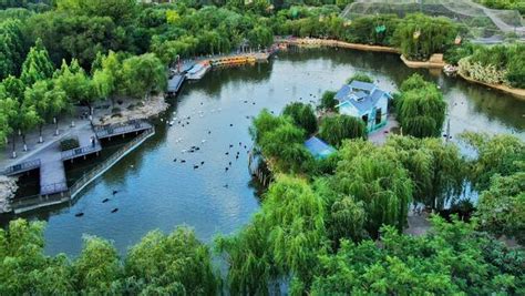 郑州优化升级公园环境，努力打造公园城市-大河网