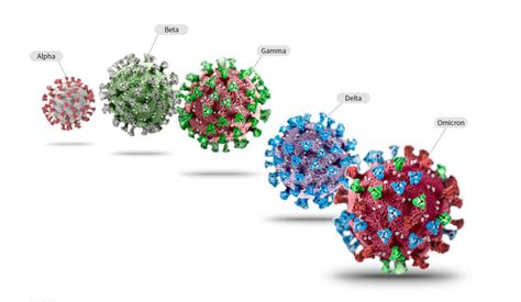 注意！新冠病毒已变异！病毒变异意味着什么？|RNA|疫情|新冠肺炎_新浪新闻