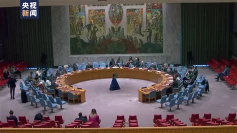 联合国安理会首次一致通过涉俄乌冲突声明，支持寻求和平解决方案