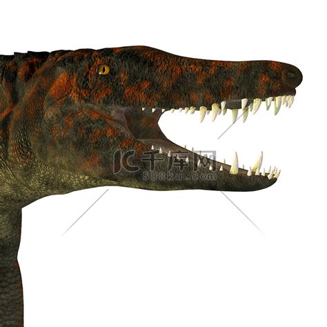 Brachylophosaurus 恐龙头高清摄影大图-千库网