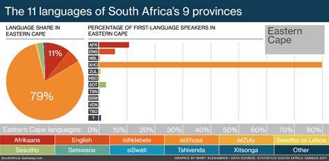 South African languages translators