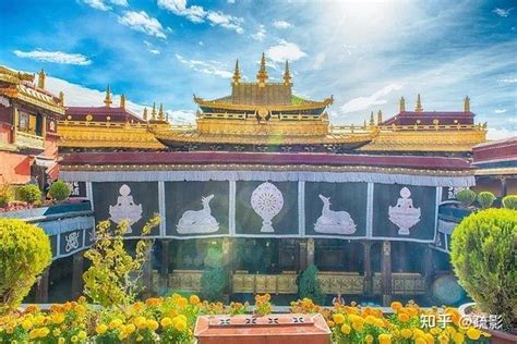 拉萨拉萨娜玛瑟德尼泊尔餐厅-宇拓路店:西藏拉萨市特色餐馆介绍_西藏产地宝