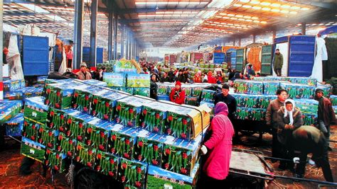 上海蔬菜批发市场在哪里？-上海最大的蔬菜批发市场叫什么？在哪里？