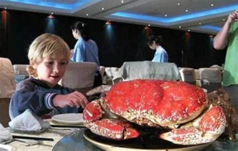 价值17万的超级大螃蟹，究竟有啥不一样？切开后口水直流！_腾讯视频