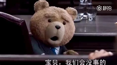 污力十足电影《泰迪熊2》片段，看一次笑一次，最后那个秒懂的表情... |片段|表情|泰迪熊_新浪新闻