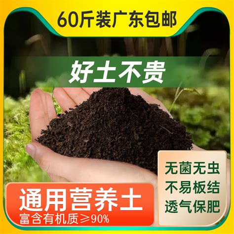 营养土40斤大包通用型有机种植土壤种菜种花养花盆栽泥土黑土土壤-淘宝网