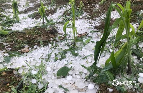 厚得像积雪！贵州毕节突降冰雹铺满地面_新闻频道_中华网