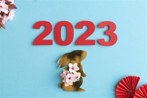 87年属兔2023年本命年运势,1988年的本命年？_2345实用查询