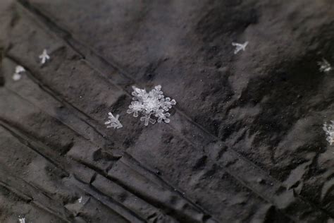 雪花形状显微镜,雪花形状实景,显微镜雪花图片_大山谷图库