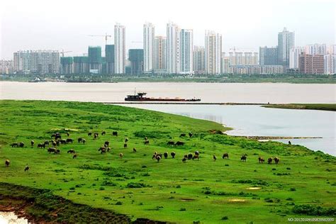 江西南昌红谷滩丰和大道城市夜景_站酷海洛_正版图片_视频_字体_音乐素材交易平台_站酷旗下品牌