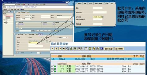 SAP解决方案，食品行业SAP解决方案-帛丝云商