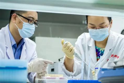 Y-DNA鉴定-香港精准基因预约中心【官网】