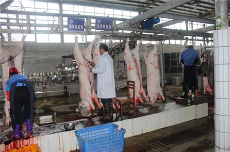 锋利的肉采用屠宰场屠夫采用猪肉在指已提到-包图企业站