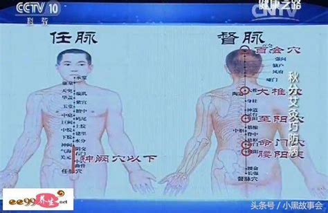 任督二脉图解图片