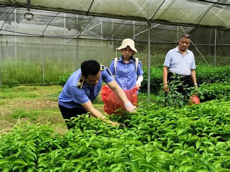 珠海市现代农业发展中心主任王爱民到省农业技术推广中心参观交流_林绿