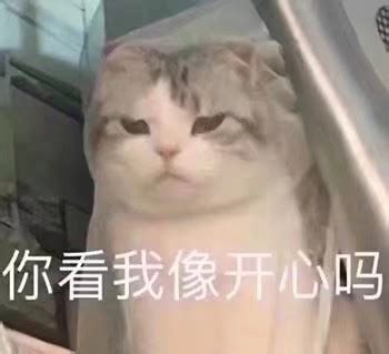 你很开心吗图片