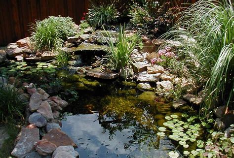 10个庭院“鱼池造景”设计，要想院子变美，那就建个鱼池吧！|鱼池|锦鲤|庭院_新浪新闻