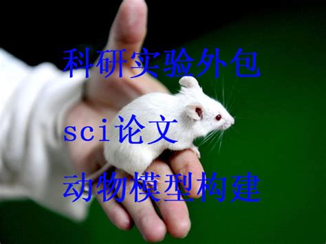 动物实验整体外包服务报价/价格 -北京百奥思科生物医学技术有限公司 - 实验技术服务- 生物在线 Lab-on-Web